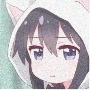 会员数字游民